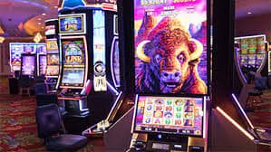Live dealer roulette and baccarat table with multi-camera stream